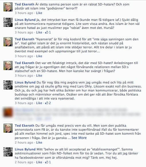 Här råder det delade meningar om den snygga tjejen. Bild: Faksimil från Facebook