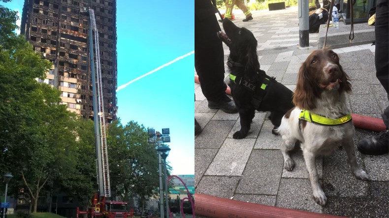 Foto: Polisen/brandkåren i London