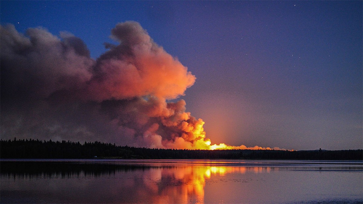Foto: Andy Witteman/Twitter