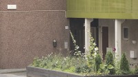 Kvinnan släpades in i denna port. Foto: Nyheter Idag