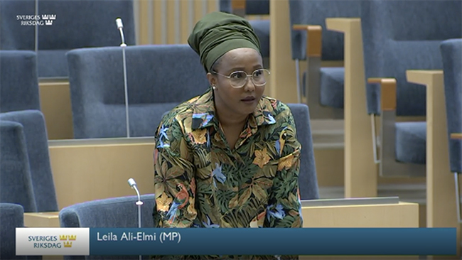 Leila Ali Elmi (MP) stamkund hos Kronofogden – 17 ärenden sedan 2019