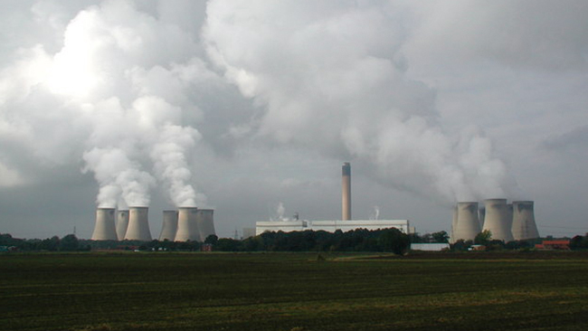 Fick miljarder i bidrag för förnybar energi – högg ned och brände urskog