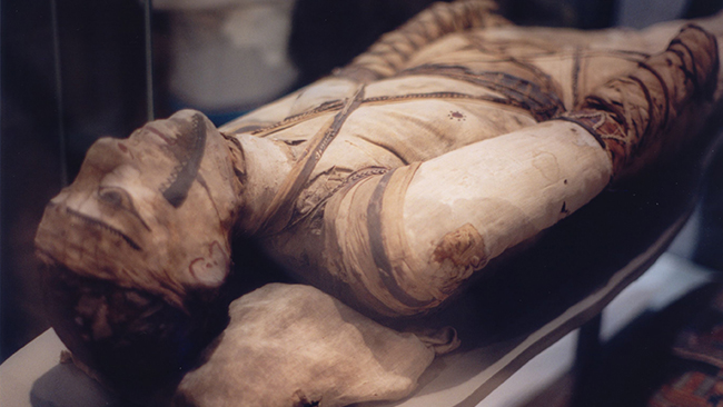 Museerna vädjar: Sluta säga ”mumie”