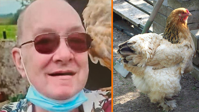 Dog efter tuppattack