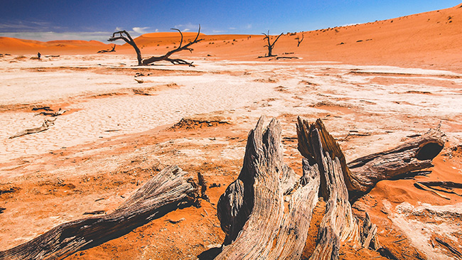 Klimatpolitiskt råd sågar regeringen – igen