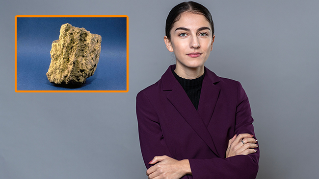 Pourmokhtari (L): ”Tycker vi behöver urangruvor i Sverige”