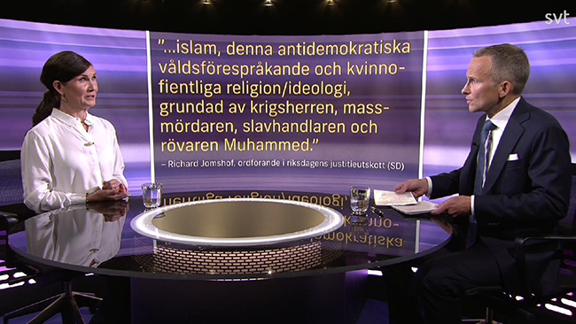 Stenevis bisarra judekommentar i SVT – får Holmberg att skaka på huvudet