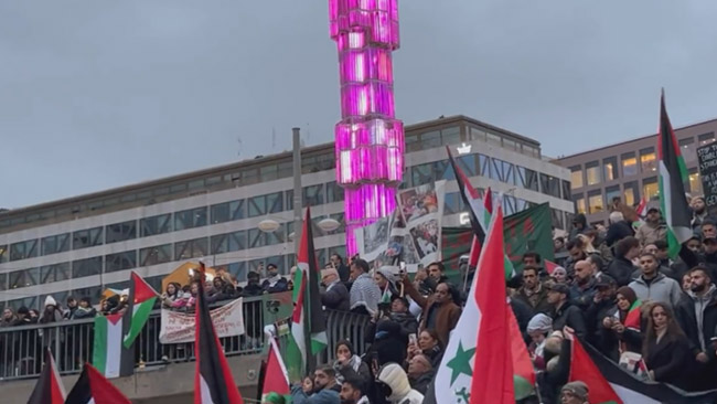 Propalestinsk talare jämförde socialtjänsten med Hamas