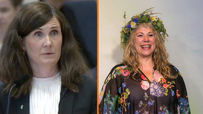 Stenevi backar från gilla-markering: ”Inte läst ordentligt”